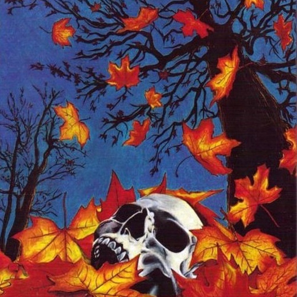 Please make an offer! I would love to clear out!